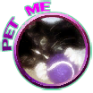 triode_pet_me